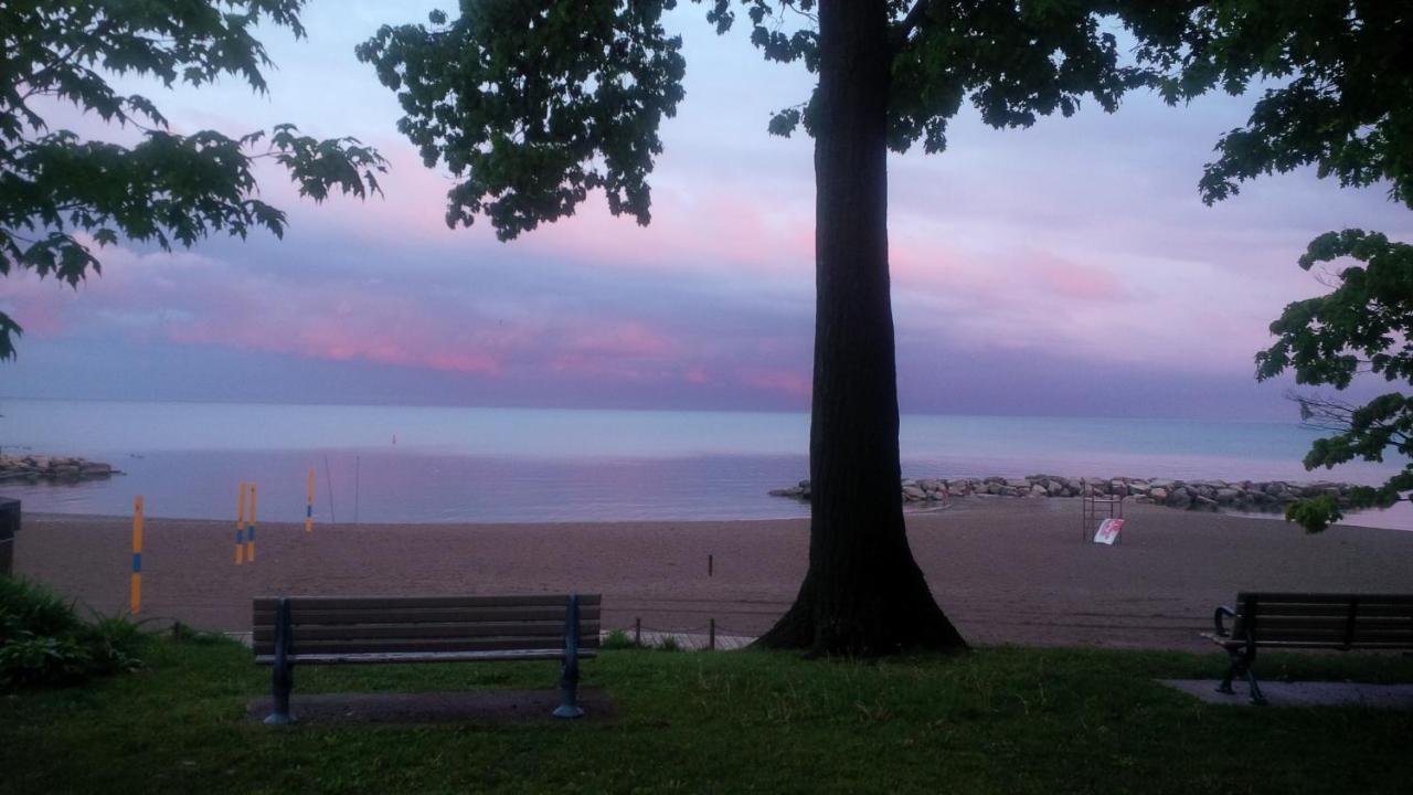 Apartament An Independent Beach Retreat Steps From The Lake And Right In The City Toronto Zewnętrze zdjęcie